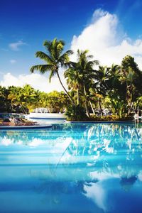 Palm trees by swimming pool against sky