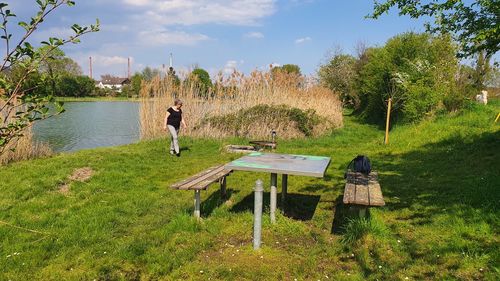 Rear view of people on bench by trees against sky