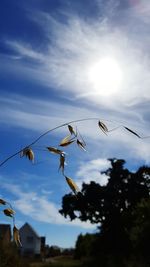 Low angle view of cloudy sky