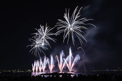 Firework display at night