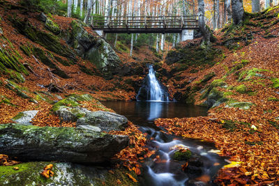 Waterfall in forest