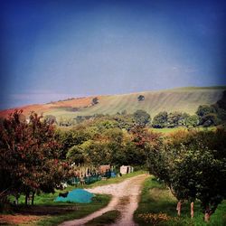 Scenic view of landscape against clear sky