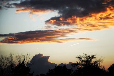 Scenic view of silhouette trees against sky at sunset