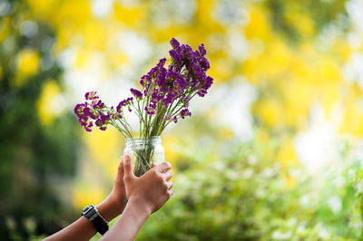 Close-up of person holding flowers against blurred background