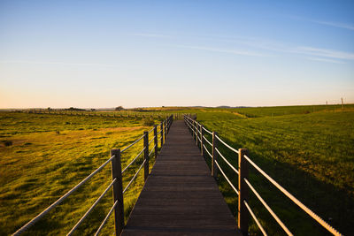 Boardwalk leading towards agricultural field against sky