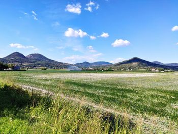 Scenic view of field against sky