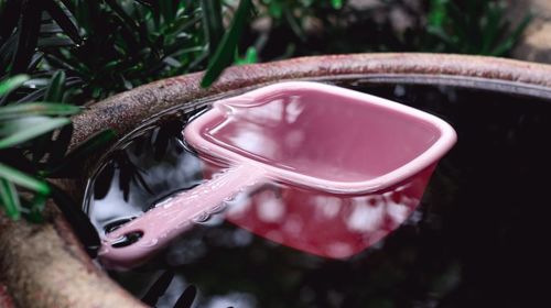 High angle view of drink on pink outdoors