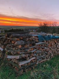 Stack of logs on field against sky during sunset