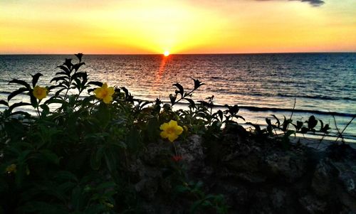 Scenic view of sea at sunset