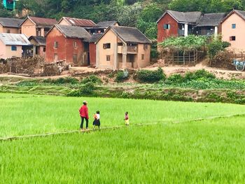People on field by houses against buildings