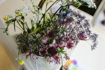 Close-up of purple flowering plant