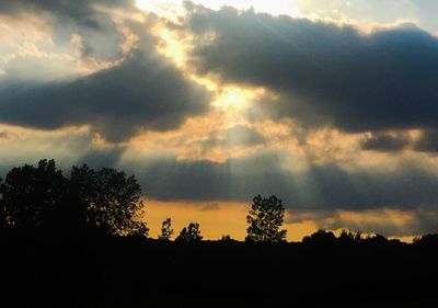 Silhouette of trees against cloudy sky