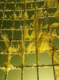 Low angle view of building