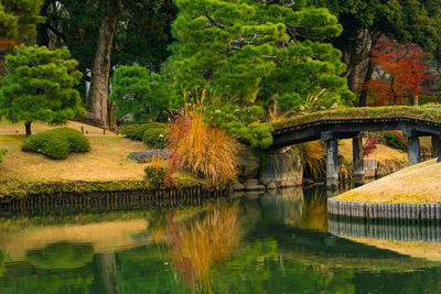 Arch bridge over lake by trees