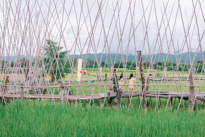 Scenic view of field