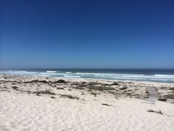 Scenic view of beach against blue sky