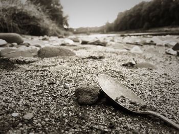 Surface level of pebbles on beach