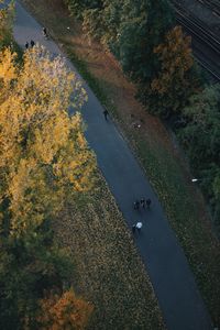 Scenic view of trees against sky