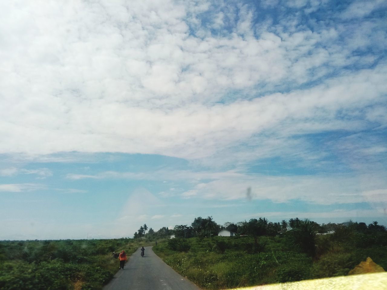 sky, cloud, road, transportation, the way forward, nature, plant, landscape, horizon, hill, tree, environment, rural area, day, scenics - nature, beauty in nature, vanishing point, diminishing perspective, tranquility, outdoors, tranquil scene, non-urban scene, no people, land, highway, country road, travel, grass, field, infrastructure, rural scene, plain, travel destinations