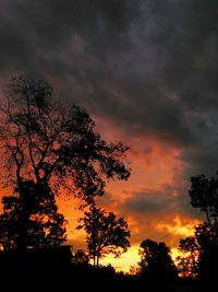 Low angle view of silhouette trees against dramatic sky