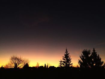 Silhouette trees against clear sky at sunset