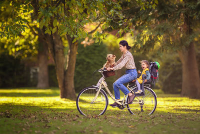 Mother is cycling in the park with her toddler on the back and her dog on the front in the sunset