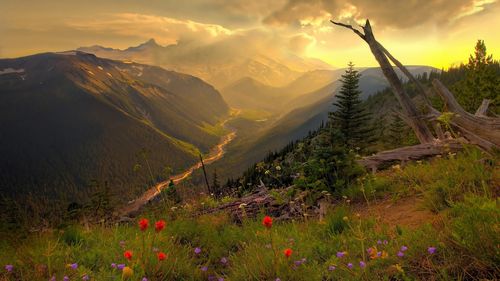 Scenic view of field against sky during sunset