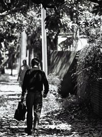 Rear view of man walking on footpath amidst trees