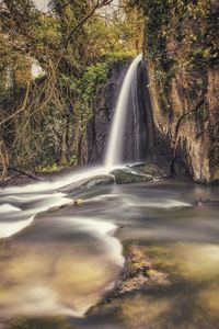 Scenic view of waterfall against trees in forest