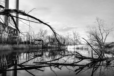 Bare trees by lake against sky