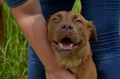 Portrait of woman with dog