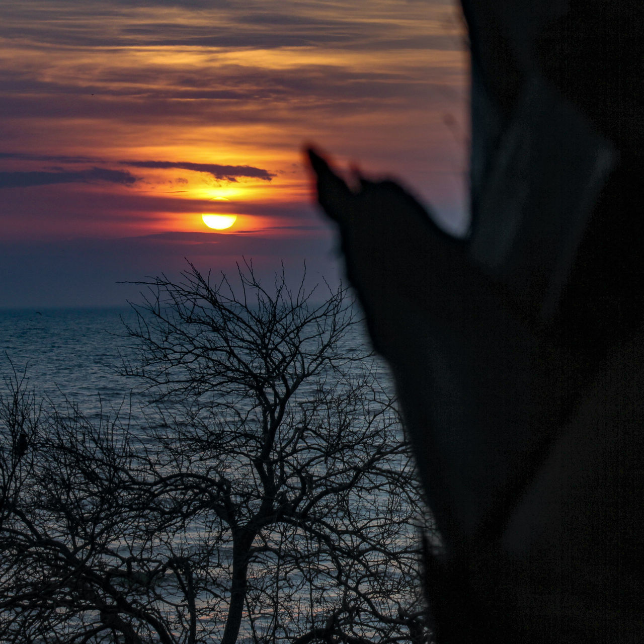 SILHOUETTE PERSON BY BARE TREE AGAINST ORANGE SKY