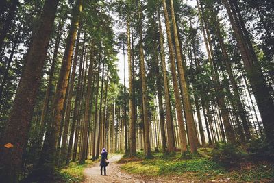 Woman in forest