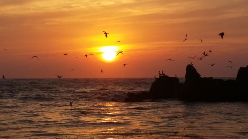 Silhouette birds flying over sea against orange sky