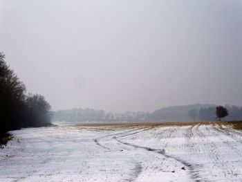 Snow covered field