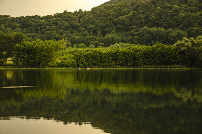 Scenic view of lake by trees in forest