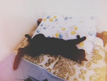 High angle view of cat relaxing on bed at home