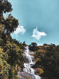 Low angle view of waterfall amidst trees in forest against sky