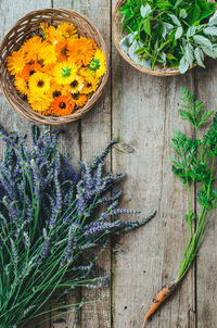 High angle view of flowering plant on table