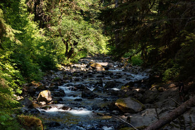 View of stream flowing through rocks