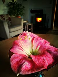 Close-up of pink flower at home