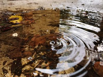 Close-up of rippled water