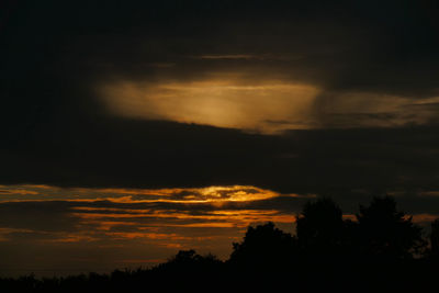 Low angle view of silhouette trees against orange sky