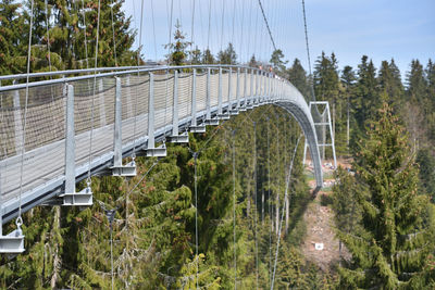Bridge amidst trees in forest against sky