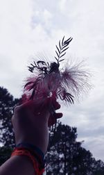 Close-up of hand holding plant against sky