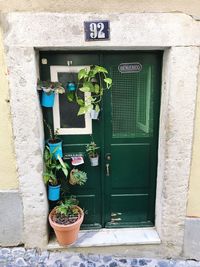 Potted plant on door