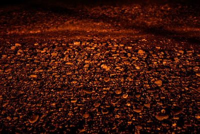 Full frame shot of illuminated landscape at night