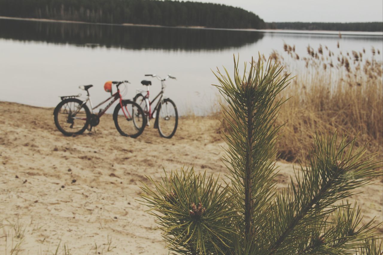 bicycle, transportation, mode of transport, land vehicle, stationary, parking, parked, tranquility, nature, plant, water, day, outdoors, tree, no people, tranquil scene, growth, grass, sunlight, lake