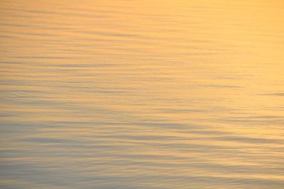 Full frame shot of rippled water