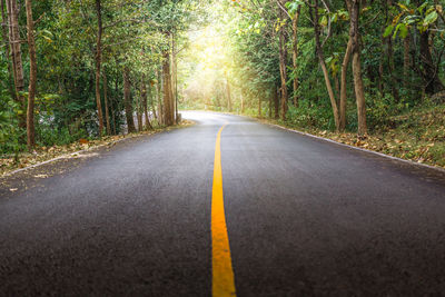 Road amidst trees in forest